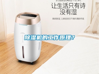 企業(yè)新聞除濕機的工作原理？