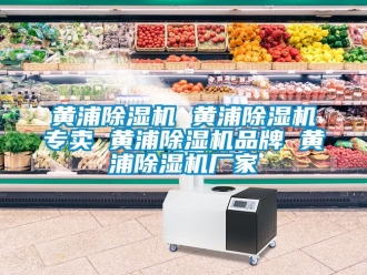 企業新聞黃浦除濕機 黃浦除濕機專賣 黃浦除濕機品牌 黃浦除濕機廠家