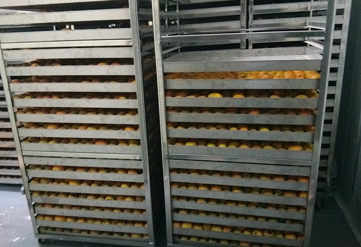 佛山禪城茶葉烘干干燥設計生產安裝運維一站式服務 佛山禪城茶葉烘干干燥設計生產安裝運維一站式服務